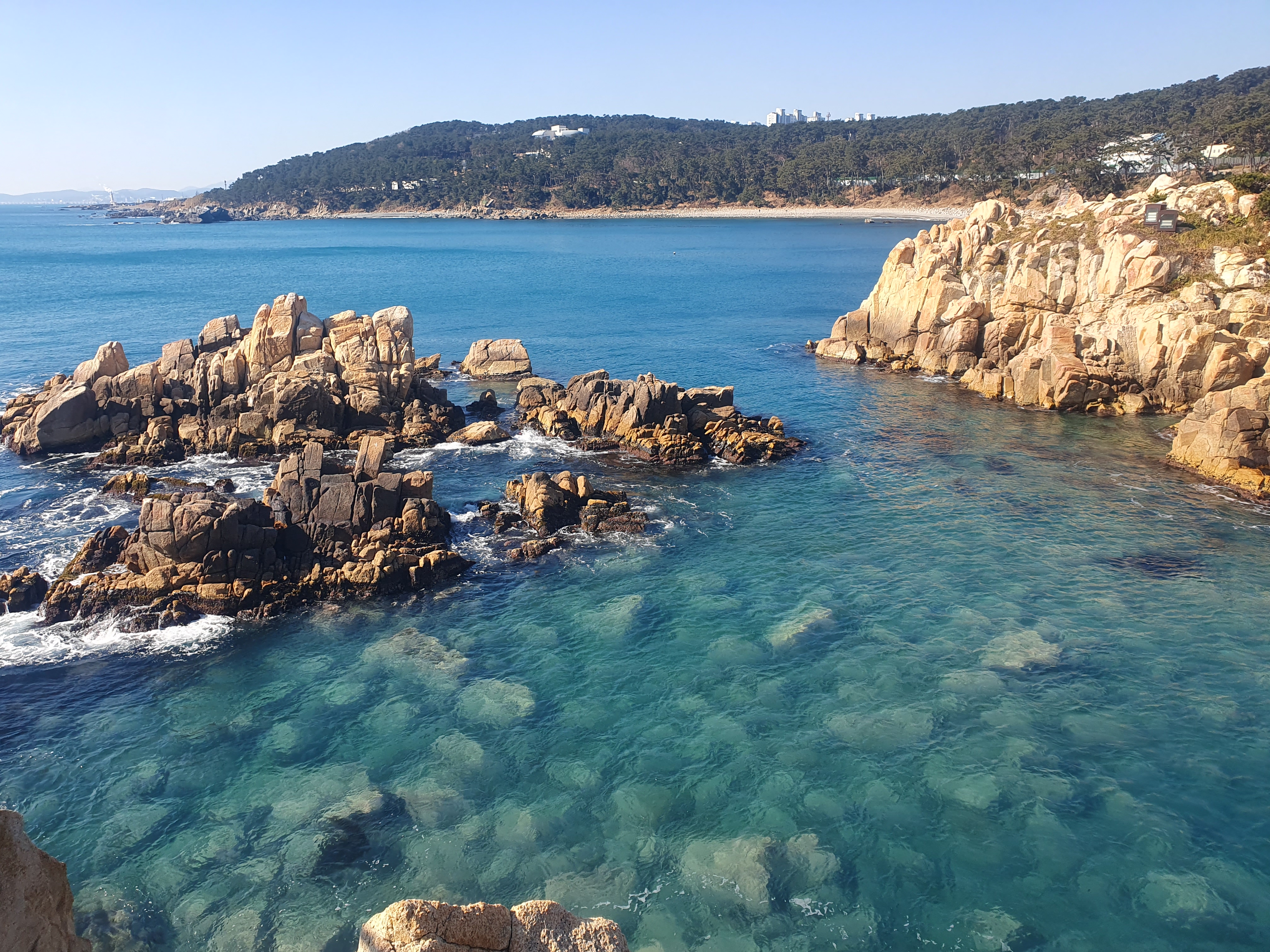 大王岩全景，松林海岸与东海悬崖尽收眼底。