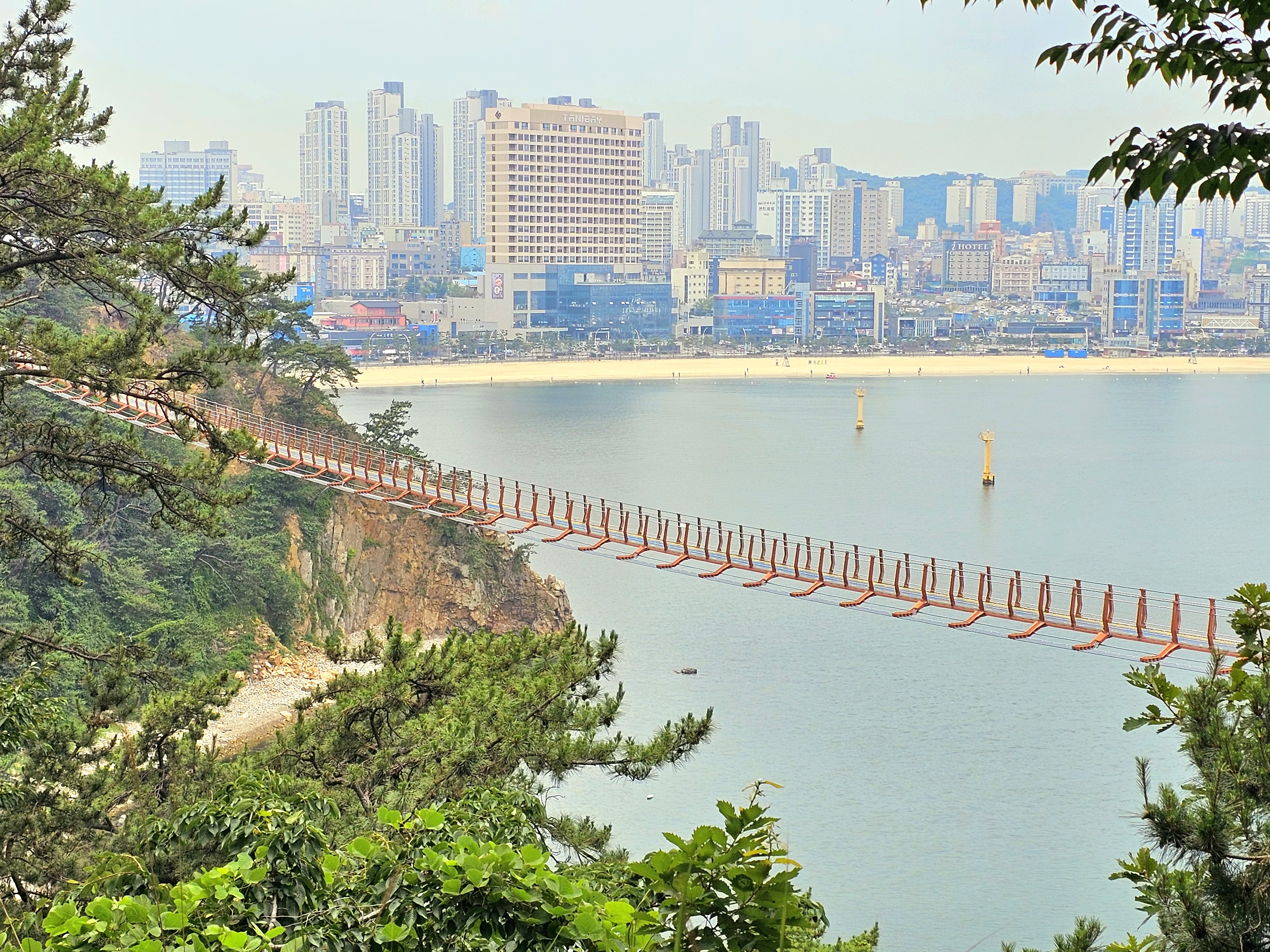 黄昏暖色桥面，东向余晖在索面上拉出金色波光。