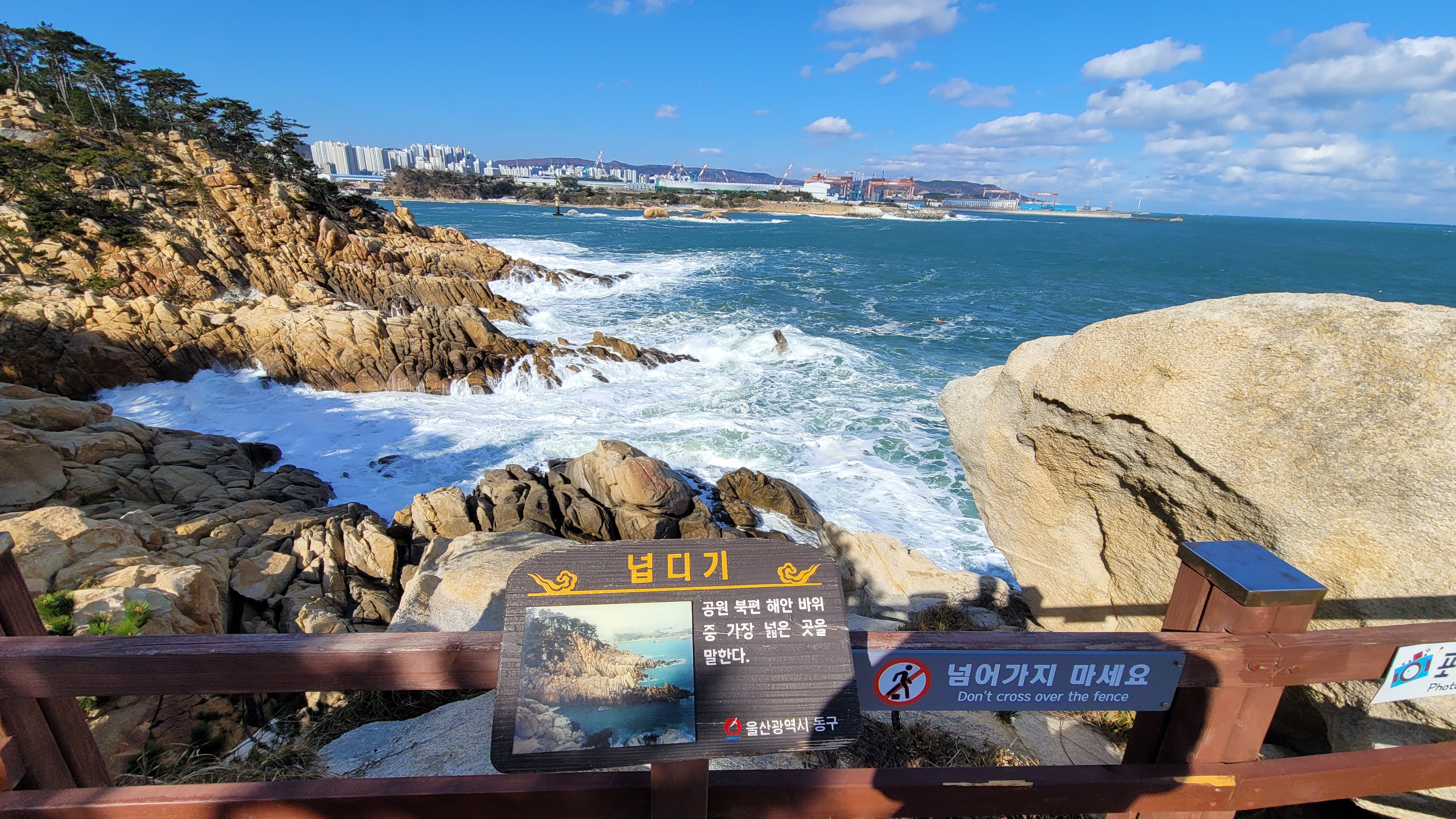 清晨无人的静谧松林步道，最适合慢拍海岸细节。